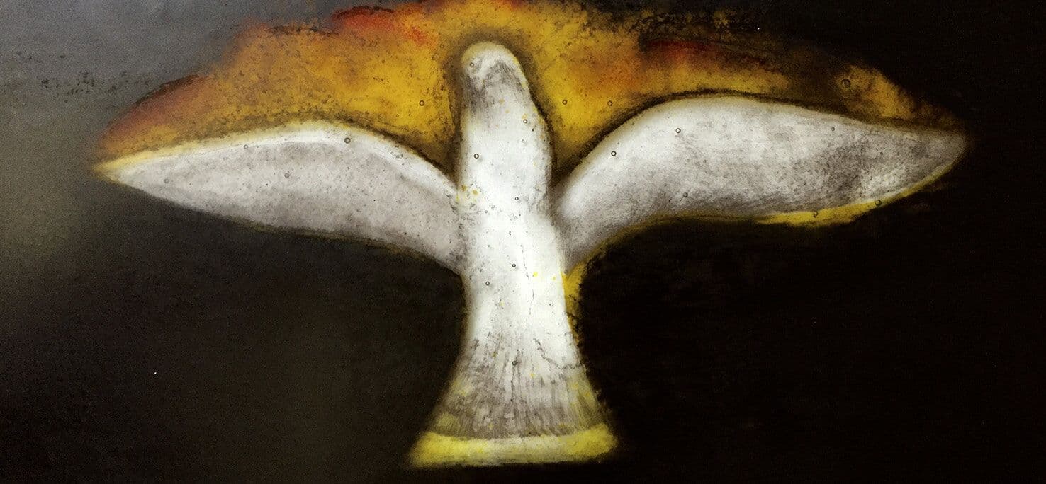 White dove detail with warm red and yellow glass above