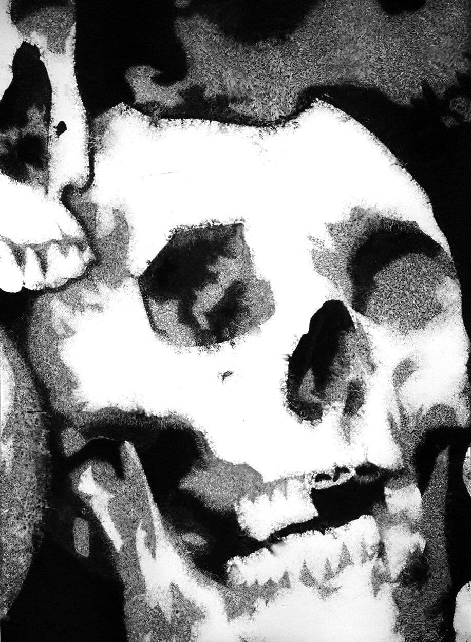 Black-and-white skull reference photograph