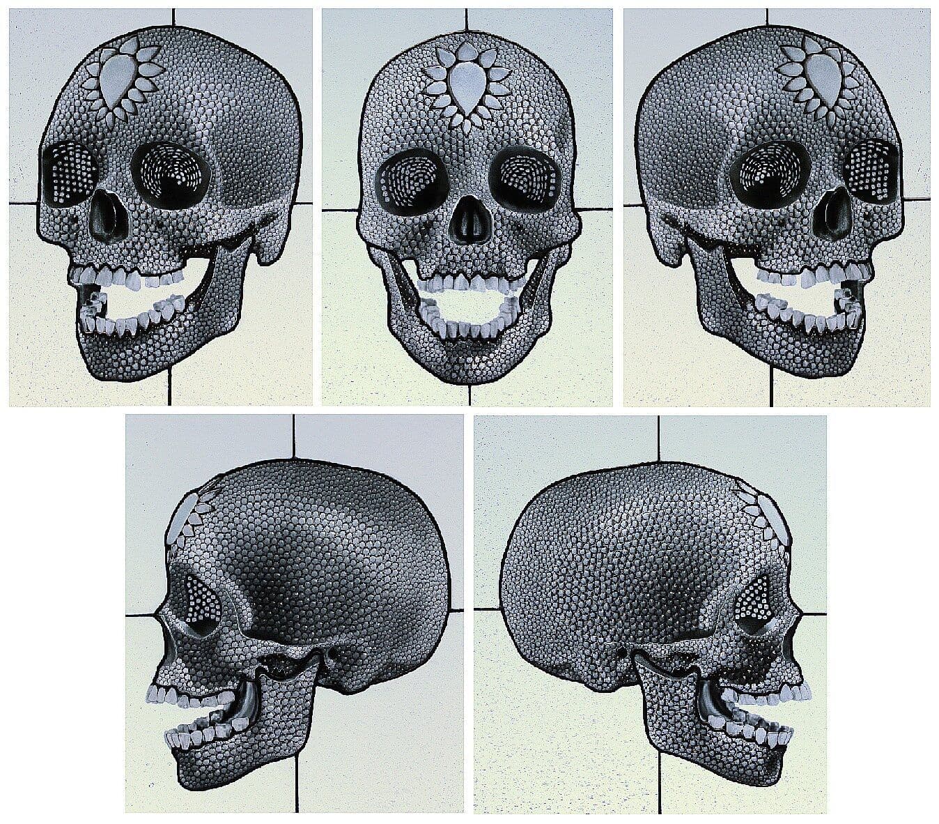 Five detailed views of a skull used as reference for the stained-glass windows