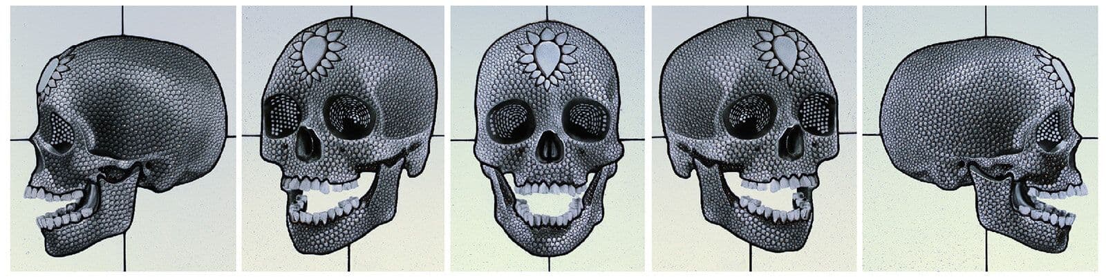 Five skull views arranged in a horizontal design sequence