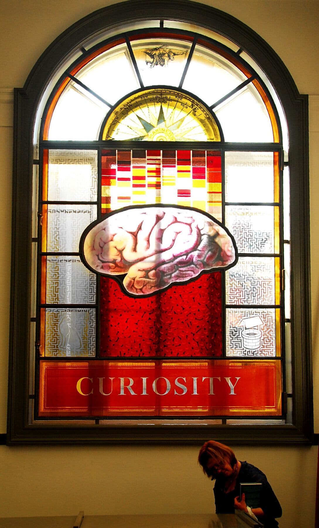 Completed stained-glass window featuring an anatomical brain and the word Curiosity